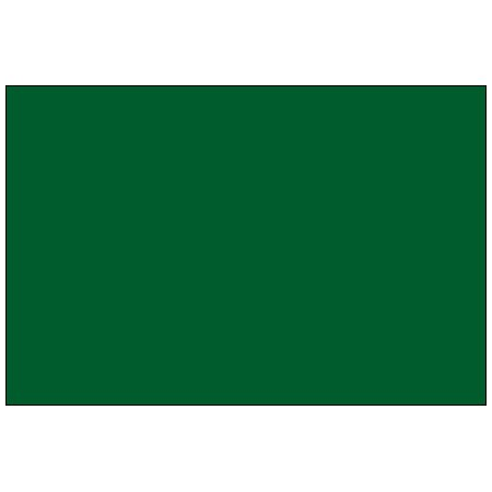 Bsc Preferred 3 x 6'' Green Inventory Rectangle Labels BUY00025568